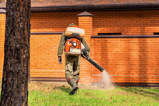 Trusted Bed Bug Control service in New Milford, IL - Nex Pest Control